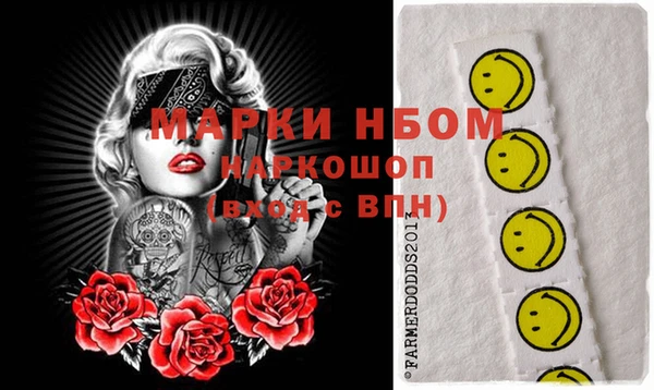 шишки Аркадак