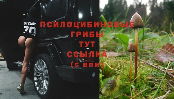 синтетический гашиш Арсеньев
