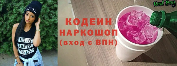 шишки Аркадак